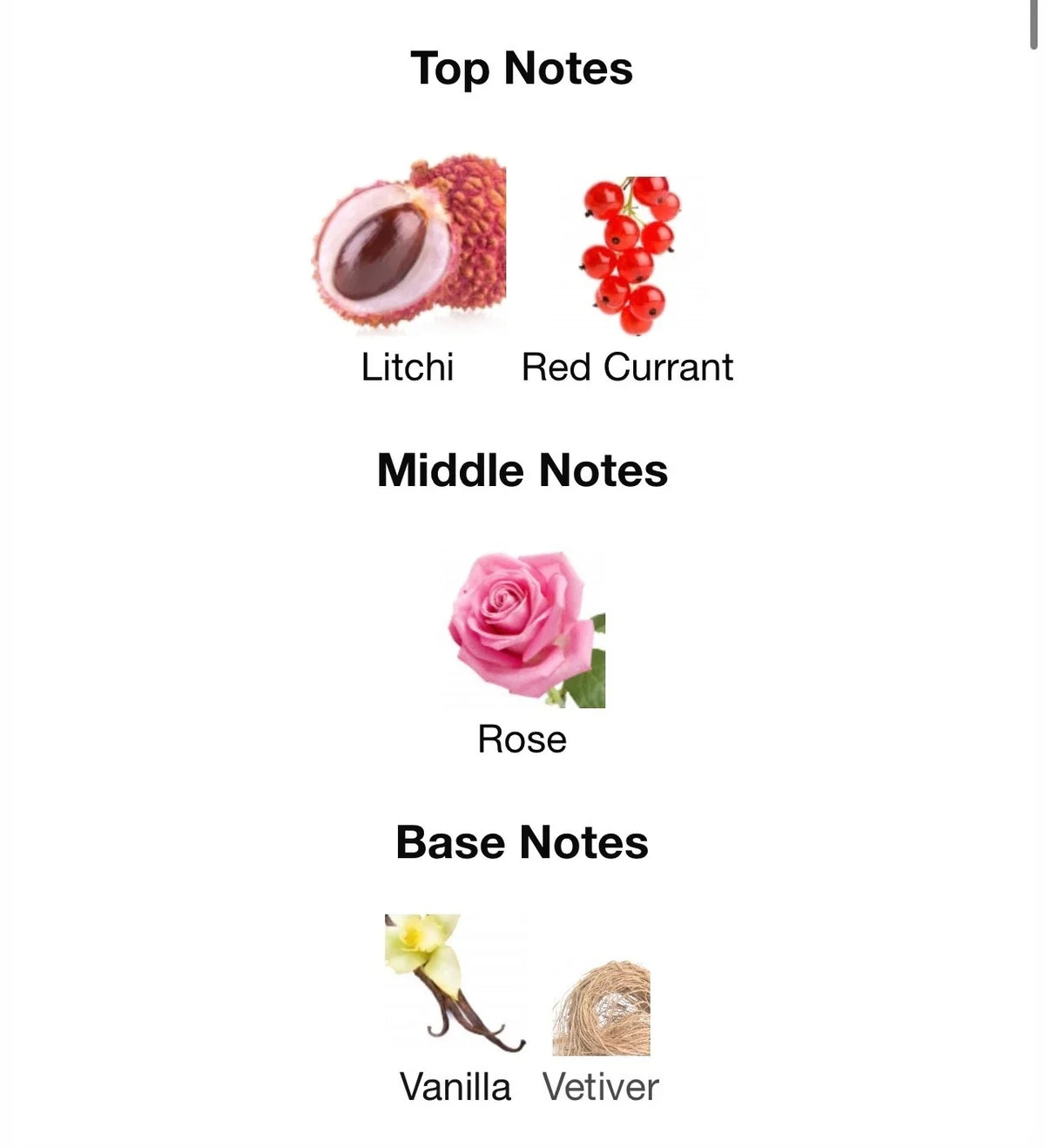 A fragrance notes chart on a white background listing Top Notes as Litchi and Red Currant, Middle Notes as Rose, and Base Notes as Vanilla and Vetiver, with small labeled ingredient illustrations.